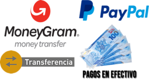 Licencias internacionales de conducir