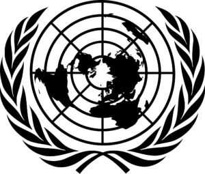Licencias internacionales de conducir
